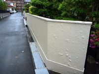 2205071-s.jpg