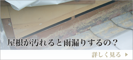 屋根が汚れると雨漏りするの？