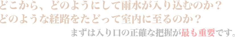 どこから、どのようにして雨水が入り込むのか？どのような経路をたどって室内に至るのか？まずは入り口の正確な把握が最も重要です。