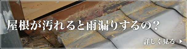 屋根が汚れると雨漏りするの？