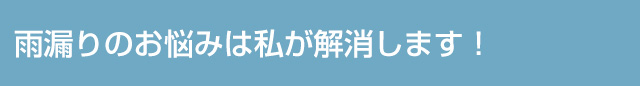 雨漏りのお悩みは私が解消します！