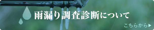 雨漏り調査診断について