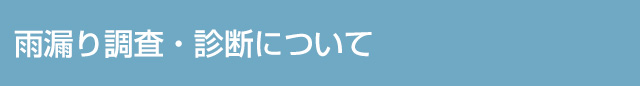 雨漏り調査・診断について