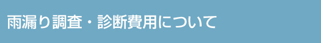 雨漏り調査・診断費用について